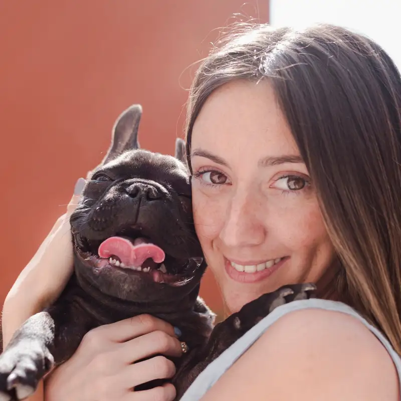 Mi Bulldog Francés — El único criadero especializado de bulldogs franceses en Misiones con presencia digital profesional | Gruponea