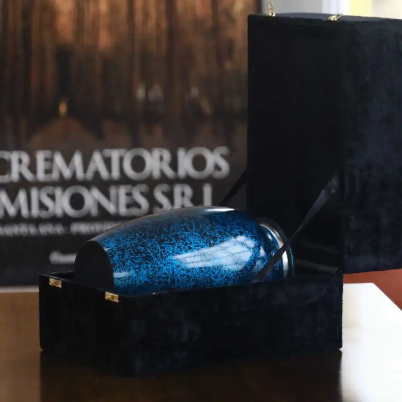 Funeraria Paz Eterna — Plataforma digital para servicios fúnebres con afiliaciones online y gestión de contratos en Posadas | Gruponea
